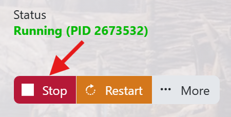 stop the server
