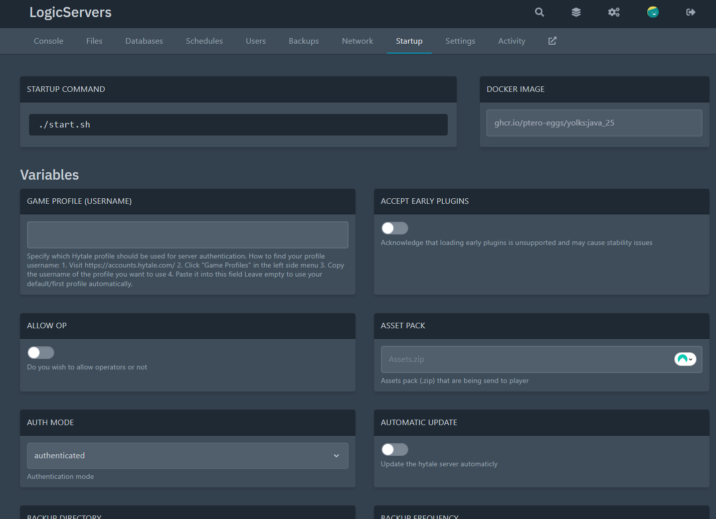 Startup variables list for a Hytale server