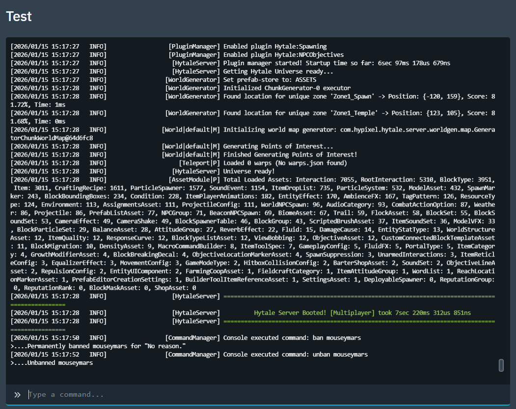 Console tab in the control panel