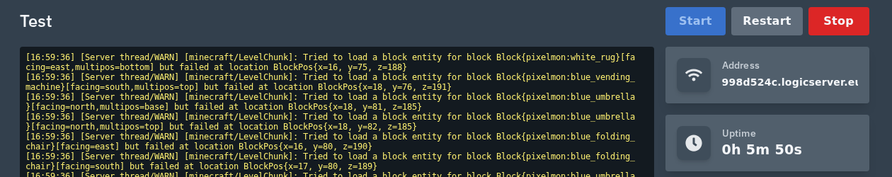 Minecraft server address shown on the control panel console page while the server is online