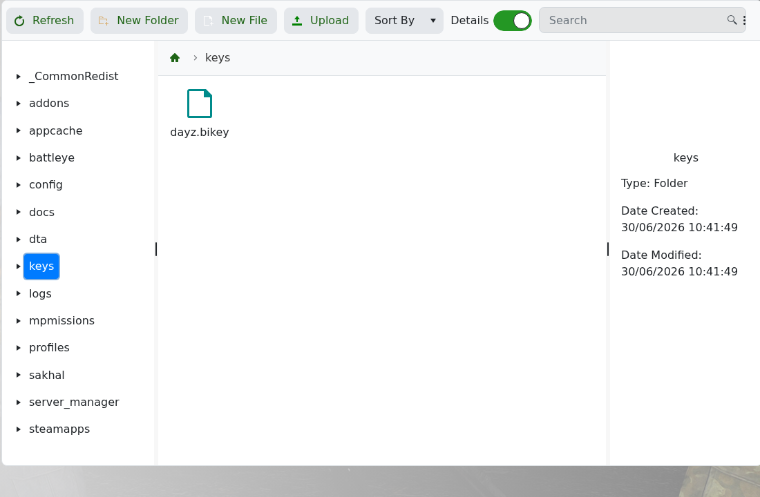 DayZ File Manager showing the keys folder