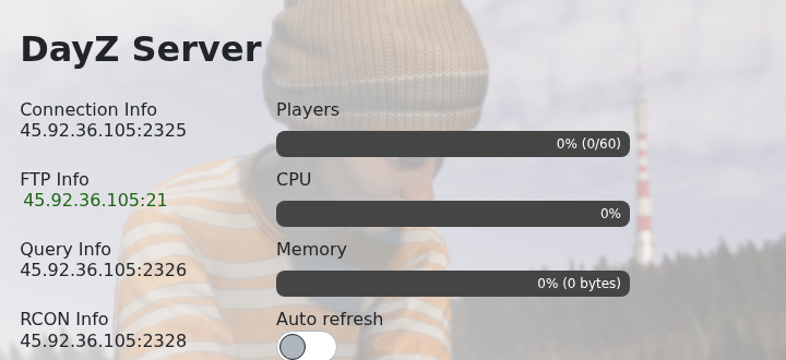 DayZ control panel showing Connection Info