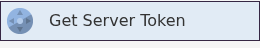 Get Server Token button for a Don't Starve Together service