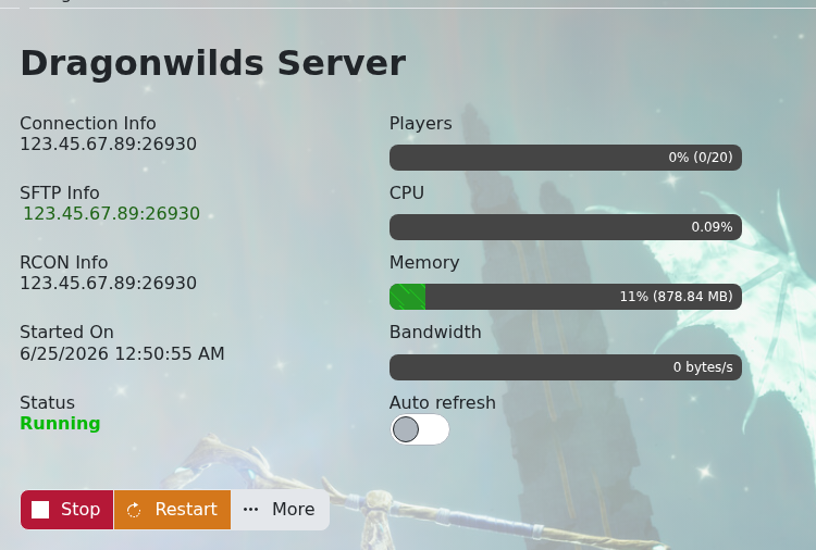 Dragonwilds server connection information