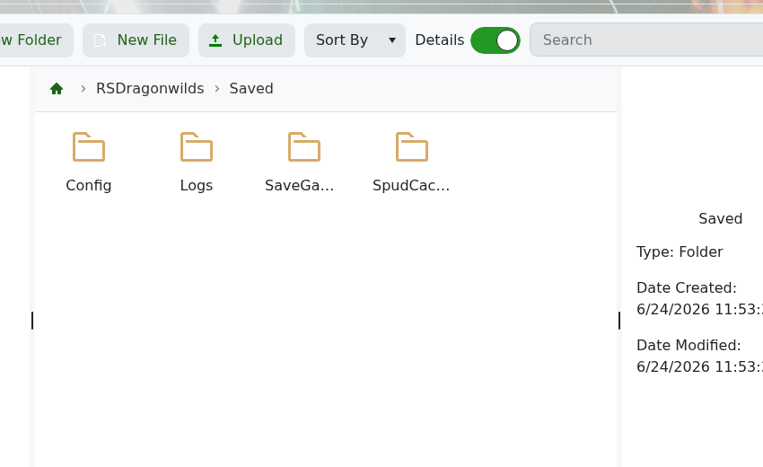 Dragonwilds Saved folder with SaveGames