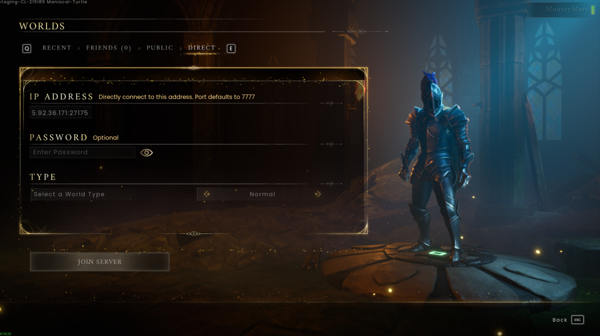 RuneScape Dragonwilds Direct connection screen