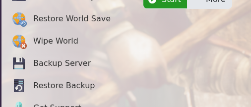 Dragonwilds Backup Server button