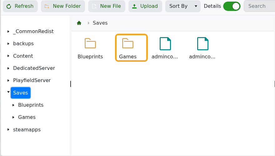 Empyrion File Manager showing Saves folder