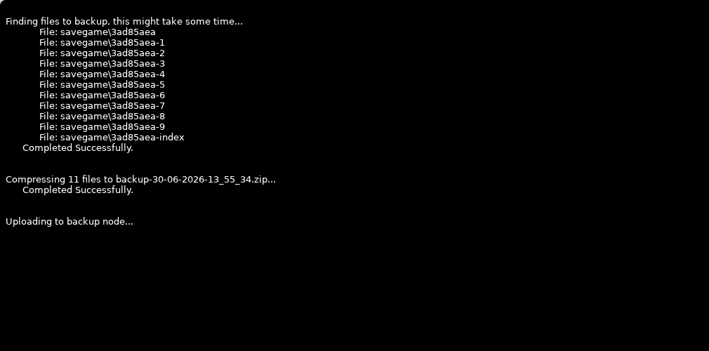 Enshrouded backup task output