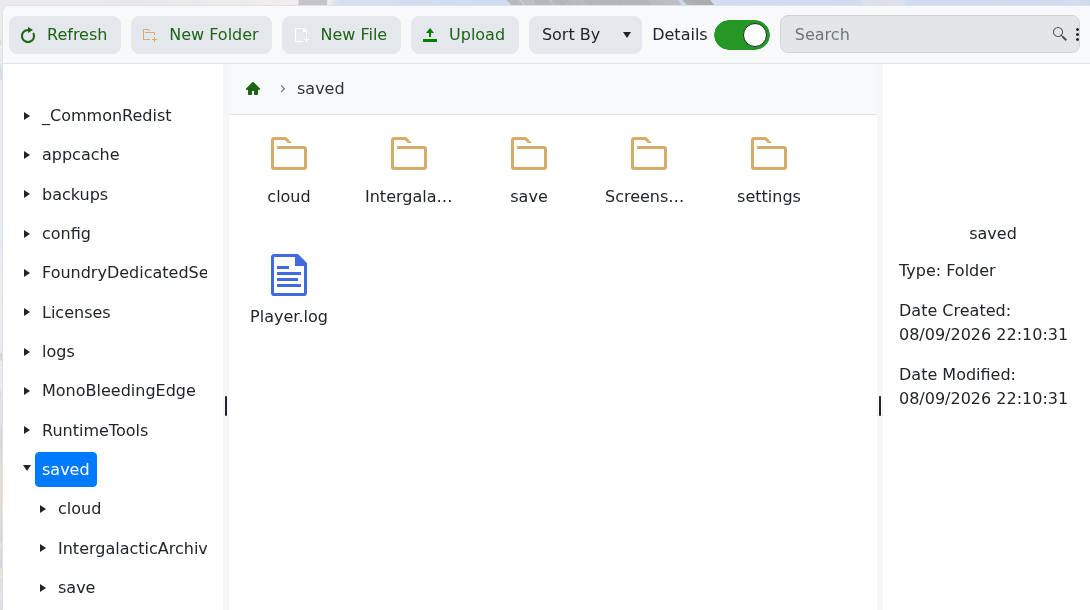 Foundry saved folder and Player.log in the TCAdmin file manager