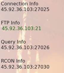 Icarus Connection Info in the control panel