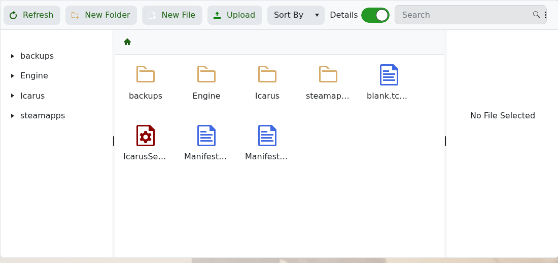 Icarus File Manager root folder
