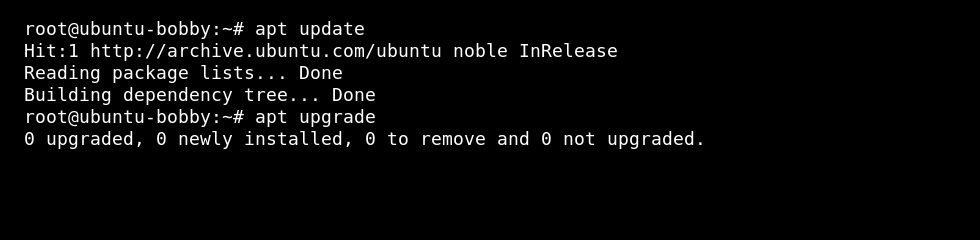 Ubuntu VPS terminal showing apt package update output