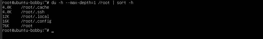 Ubuntu VPS terminal showing du folder usage output sorted by size