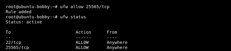 Linux VPS terminal showing UFW allowing a Minecraft port and listing firewall rules