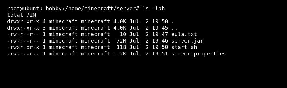 Linux terminal showing example Minecraft server folder contents