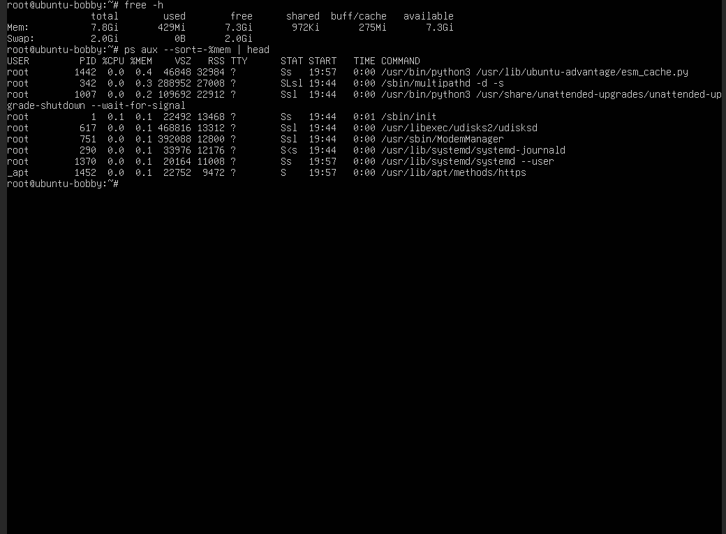 Ubuntu VPS terminal showing highest memory processes with ps aux sorted by memory