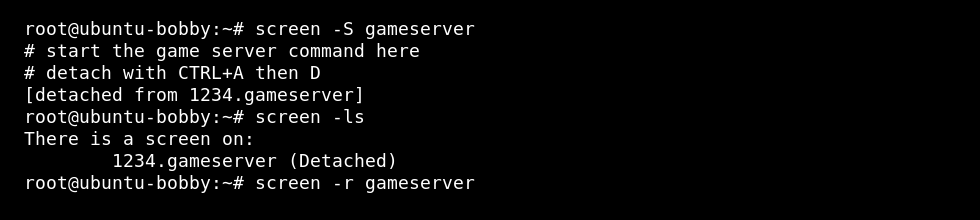 Linux VPS terminal showing a detached screen session and reconnect command
