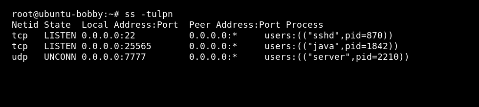 Linux VPS terminal showing listening TCP and UDP ports with processes