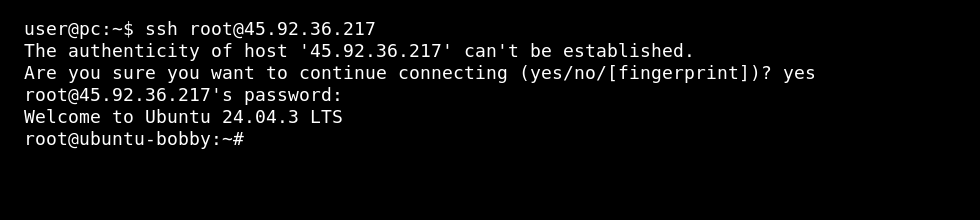 Linux terminal showing an SSH login to a VPS
