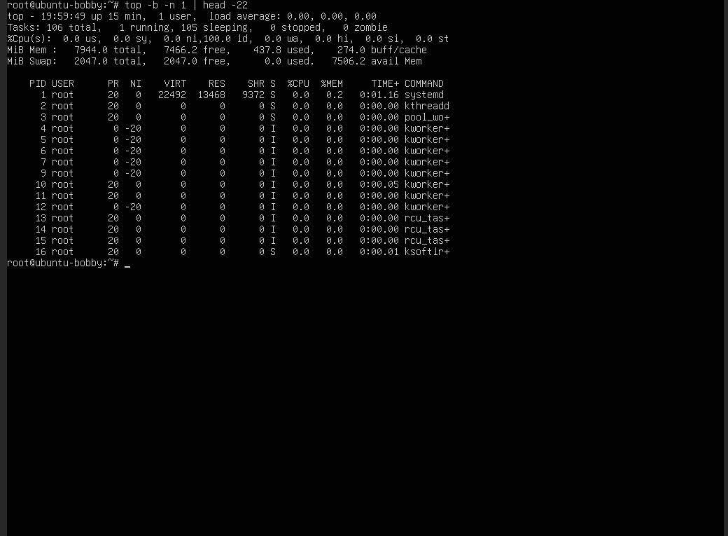 Ubuntu VPS terminal showing top CPU and memory output