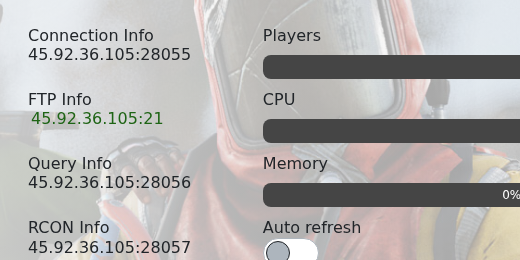 Rust Connection Info showing RCON Info