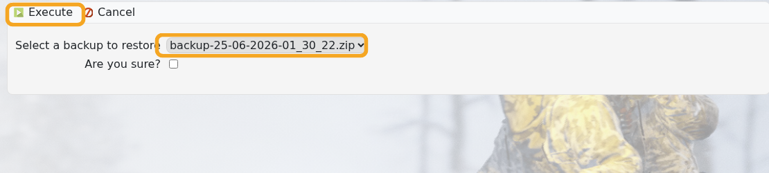 Rust Restore Backup page showing backup dropdown and Execute button