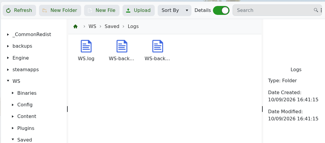 Soulmask WS.log and rotated server logs under WS Saved Logs