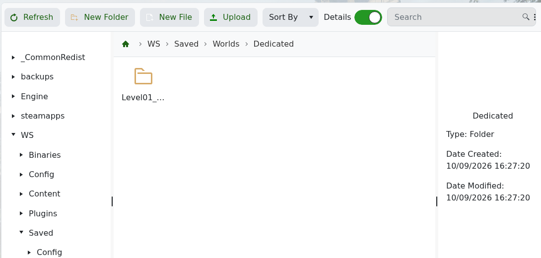 Soulmask dedicated world folder under WS Saved Worlds