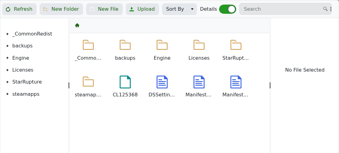 StarRupture server root containing DSSettings.txt