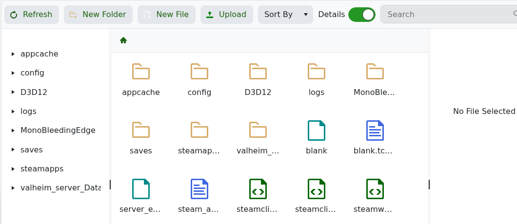 Valheim File Manager showing the server root next to valheim_server.exe