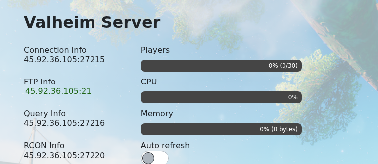 Valheim control panel showing Connection Info