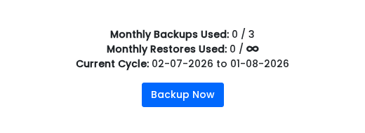 VPS backup usage counters and Backup Now button