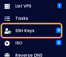 VPS panel SSH Keys menu