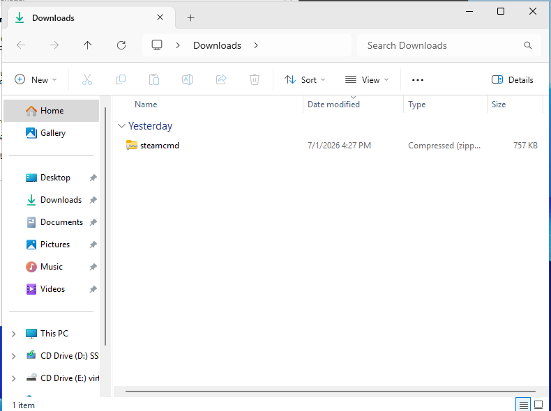 Windows VPS Downloads folder showing a downloaded zip file