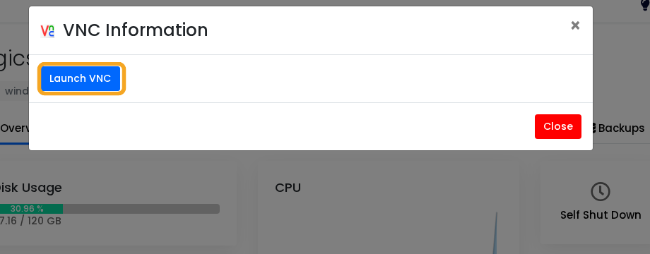 VPS panel VNC launch window for Windows recovery access