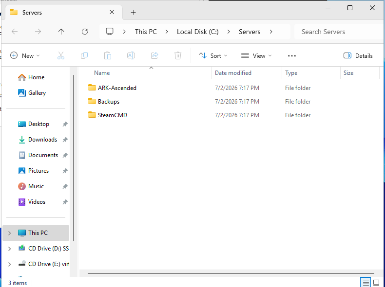 Windows VPS File Explorer showing an organised C Servers folder layout