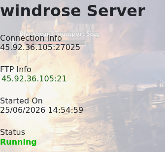 Windrose game panel Connection Info box