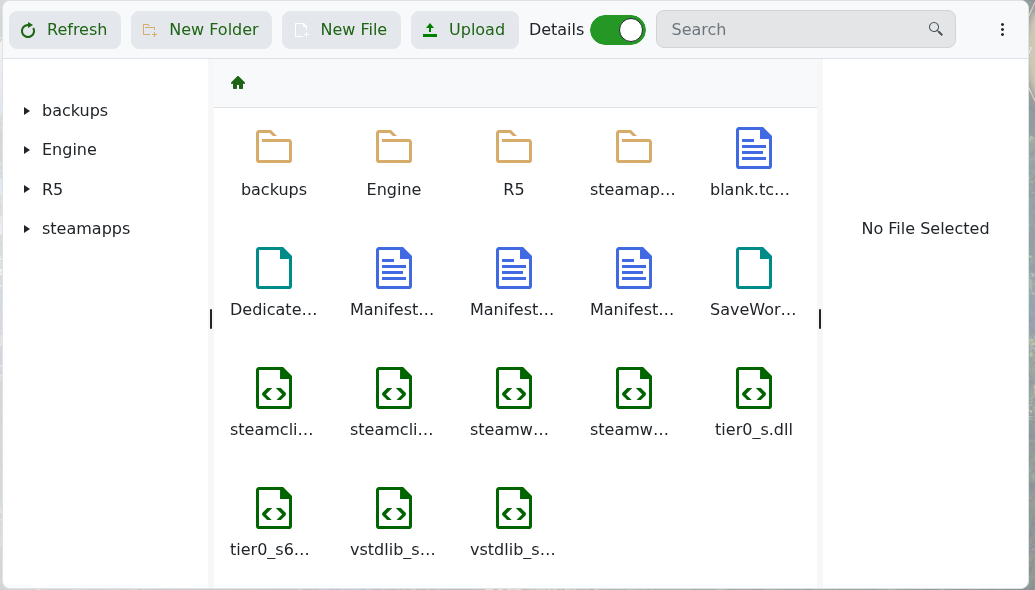 Windrose server root folder in File Manager